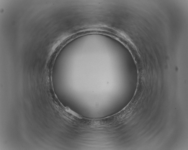 X0000073761360200608241401