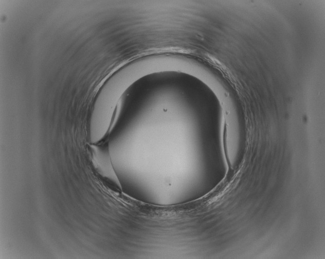 X0000073761361200608241401