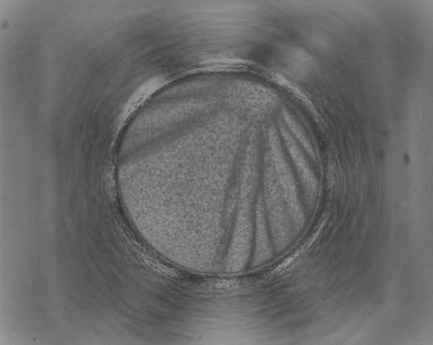 X0000073761362200608241401