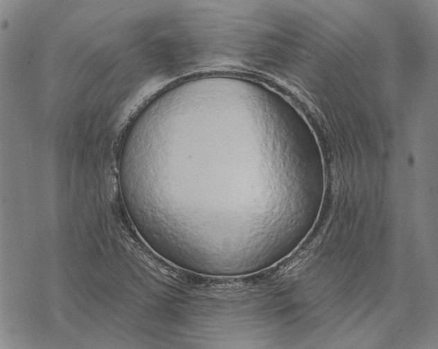 X0000073761363200608241401