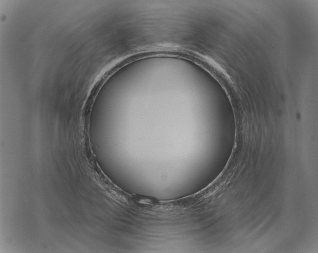 X0000073761364200608241401