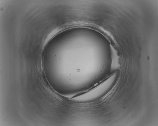 X0000073761365200608241401