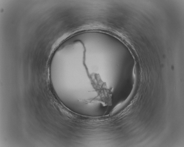 X0000073761366200608241401