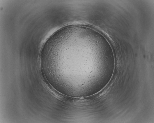 X0000073761367200608241401