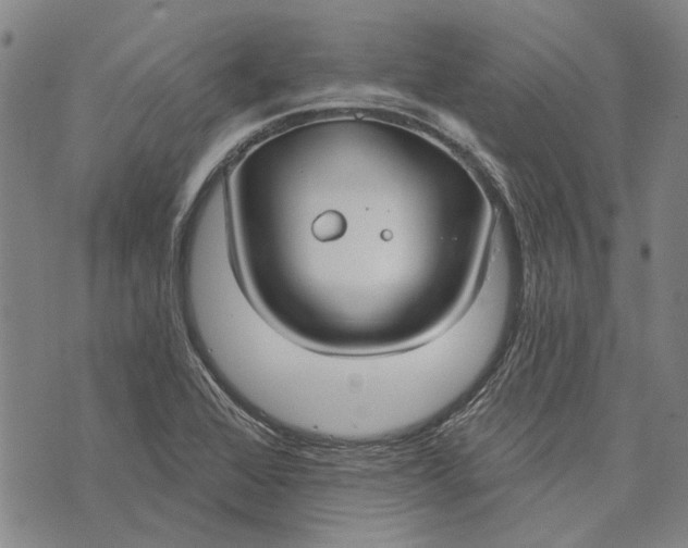 X0000073761368200608241401