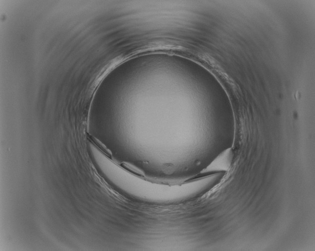 X0000073761369200608241401