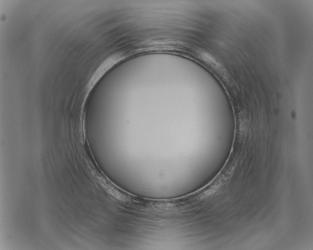 X0000073761370200608241401