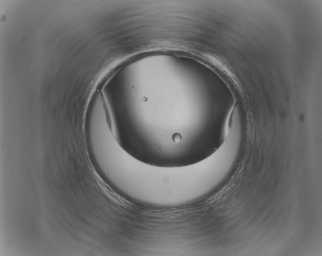 X0000073761372200608241401