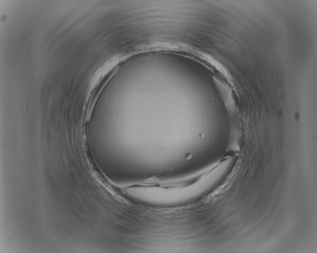 X0000073761373200608241401