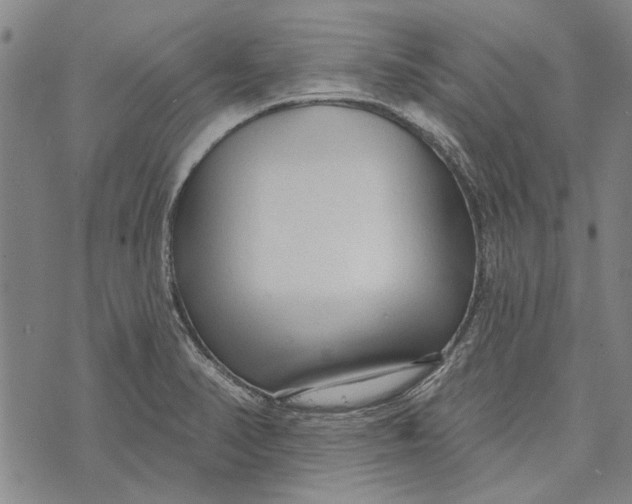 X0000073761374200608241401