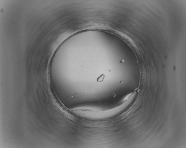 X0000073761375200608241401