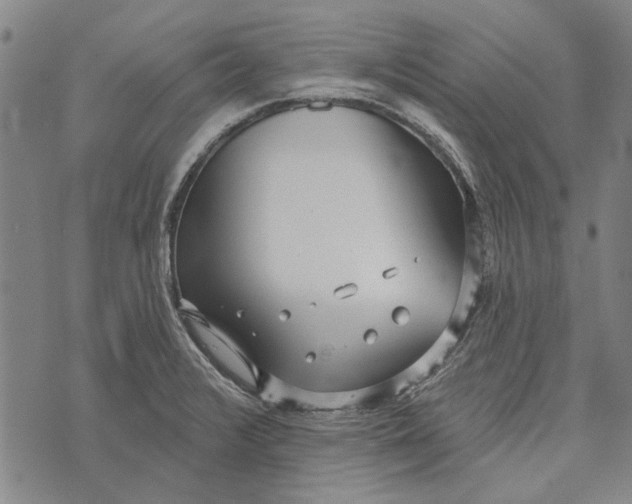 X0000073761376200608241401