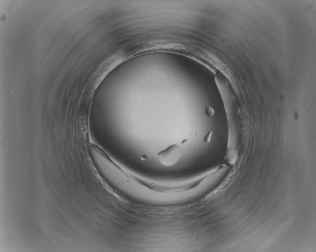 X0000073761377200608241401