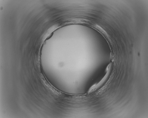 X0000073761378200608241401