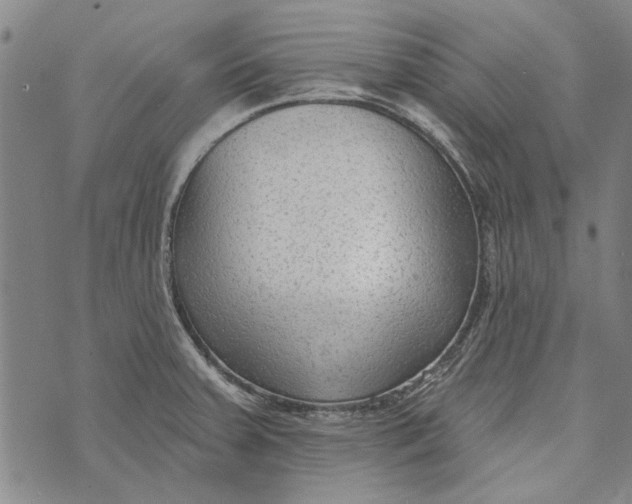 X0000073761379200608241401