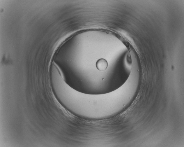 X0000073761380200608241401