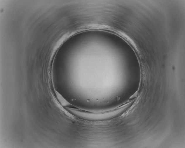 X0000073761381200608241401