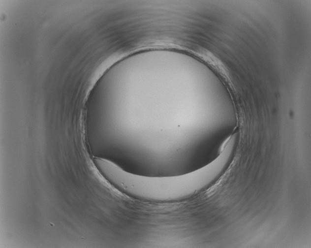 X0000073761382200608241401