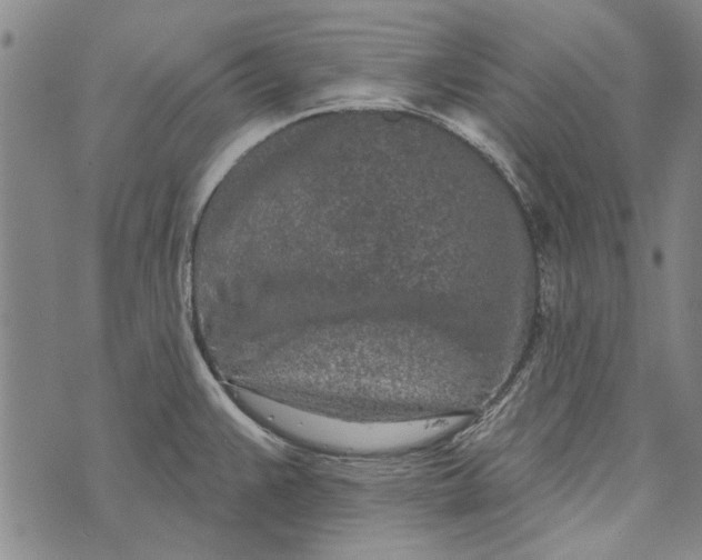 X0000073761383200608241401