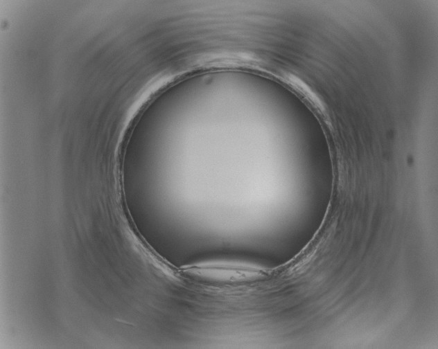 X0000073761384200608241401