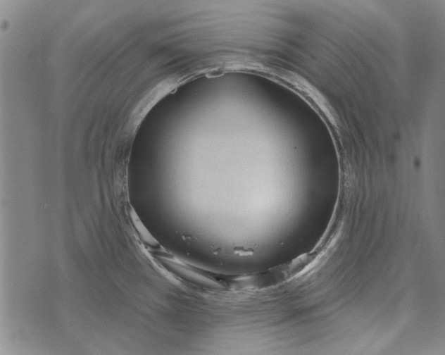 X0000073761385200608241401