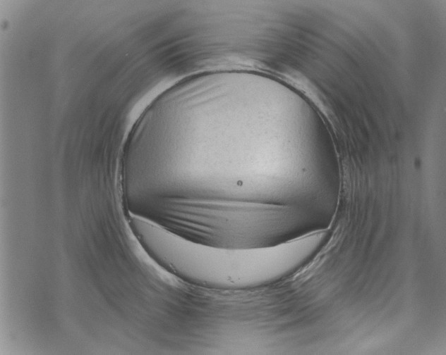 X0000073761387200608241401