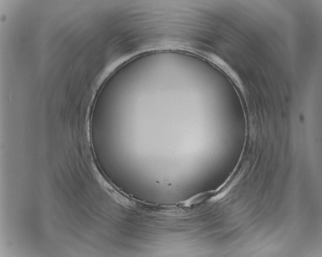 X0000073761388200608241401