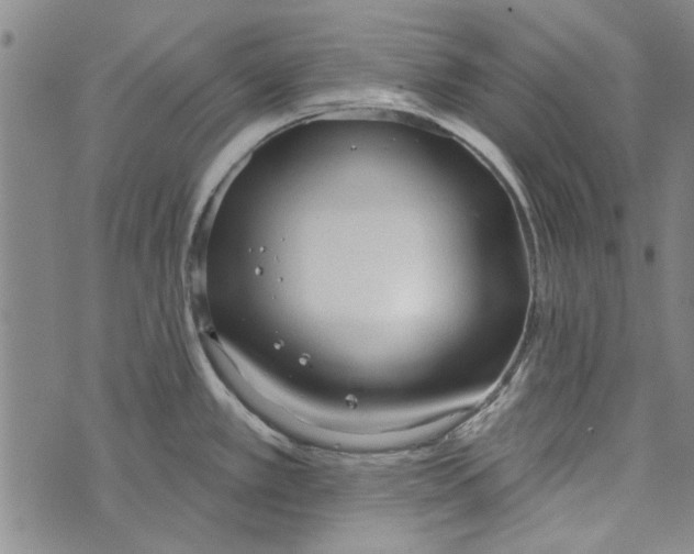 X0000073761389200608241401