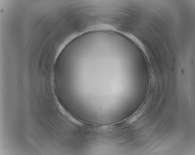 X0000073761390200608241401