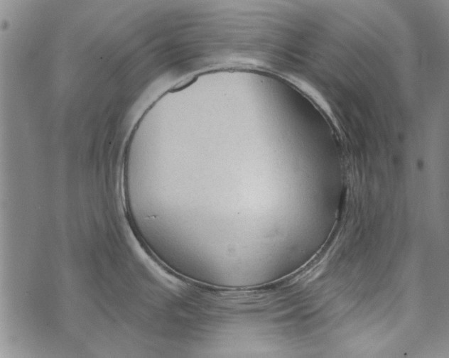 X0000073761391200608241401