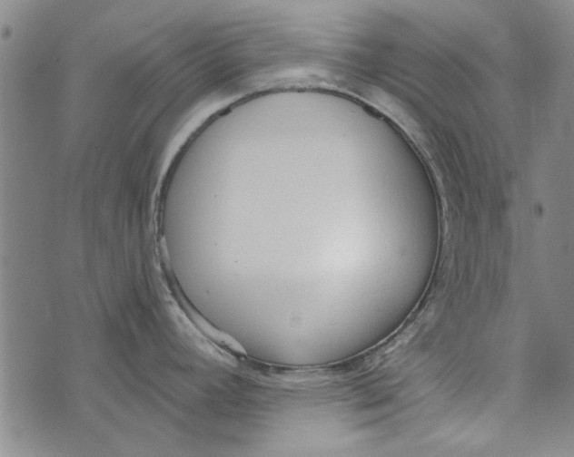 X0000073761392200608241401