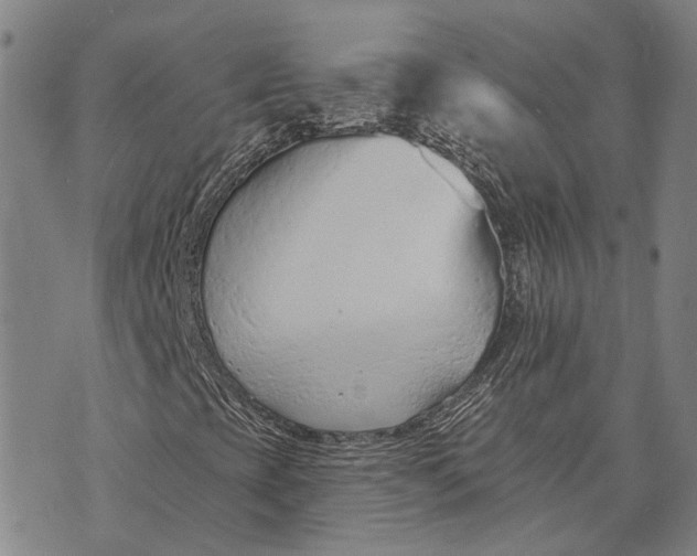 X0000073761393200608241400