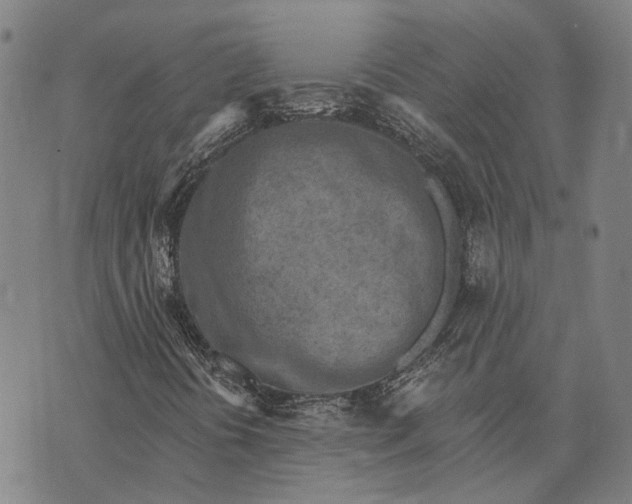 X0000073761394200608241400