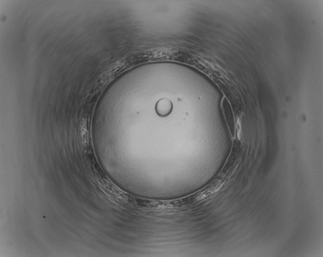 X0000073761395200608241400