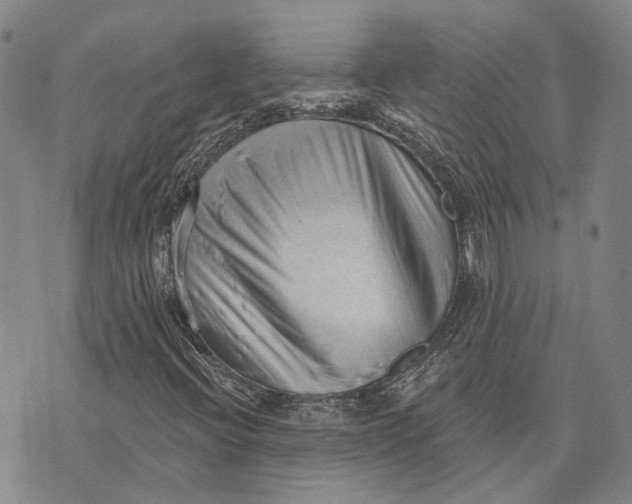 X0000073761396200608241400