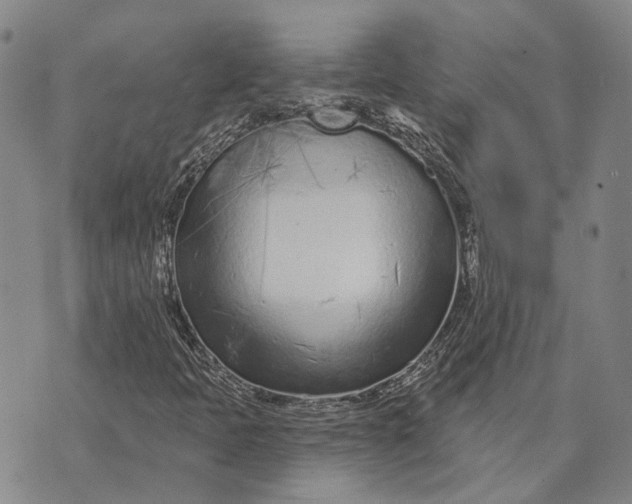 X0000073761397200608241400