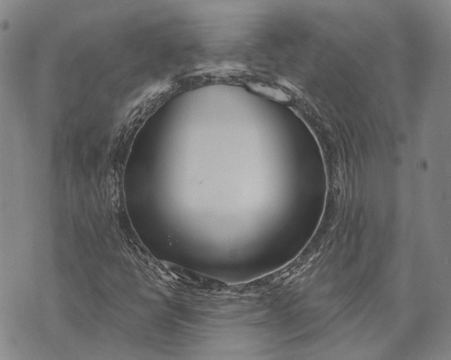 X0000073761398200608241400