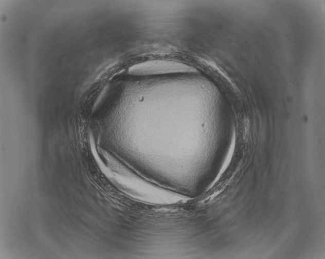 X0000073761399200608241400