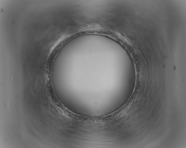 X0000073761400200608241400