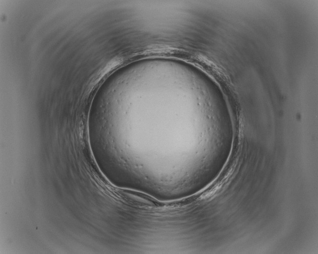 X0000073761401200608241400