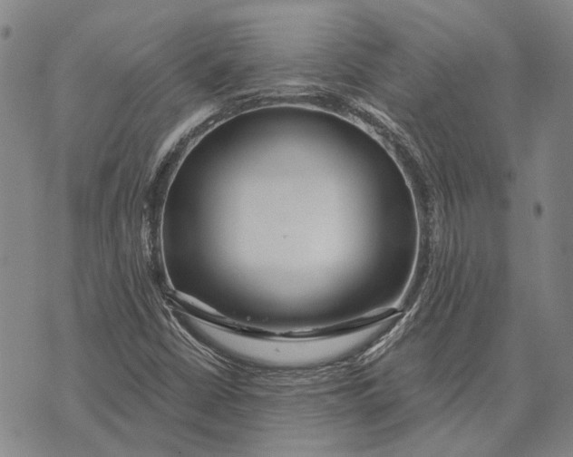 X0000073761402200608241400