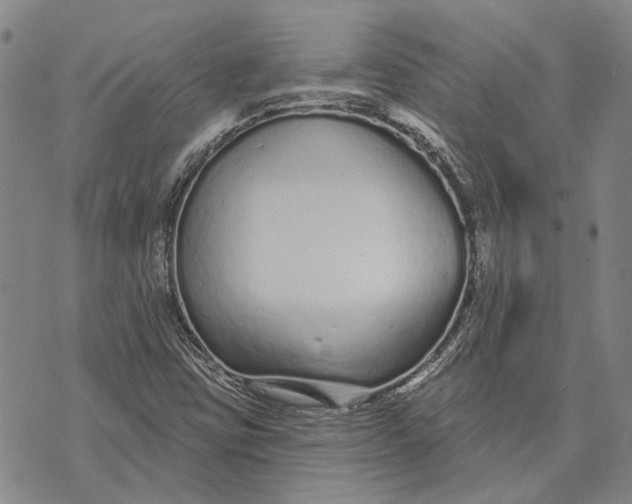 X0000073761403200608241400