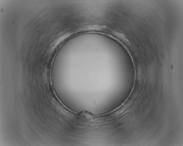 X0000073761404200608241400