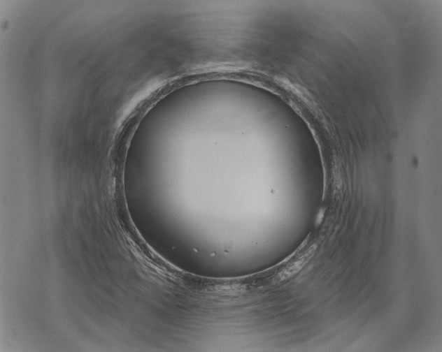 X0000073761406200608241400