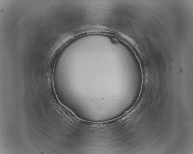 X0000073761407200608241400