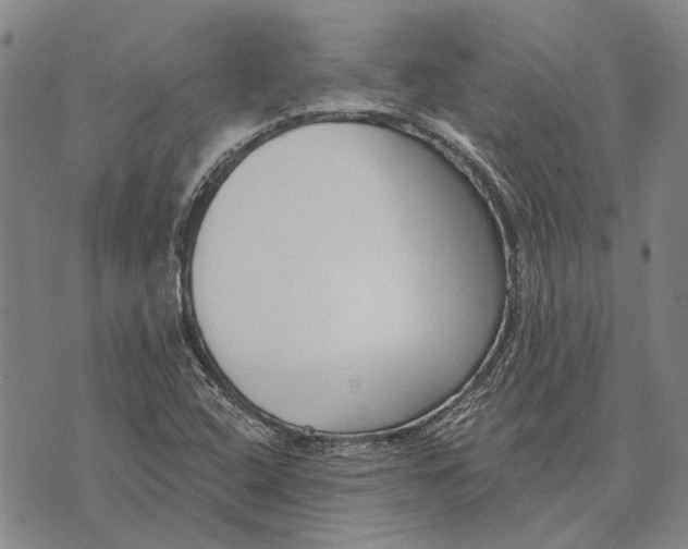 X0000073761408200608241400