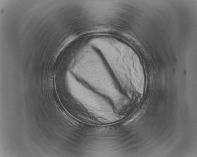 X0000073761409200608241400