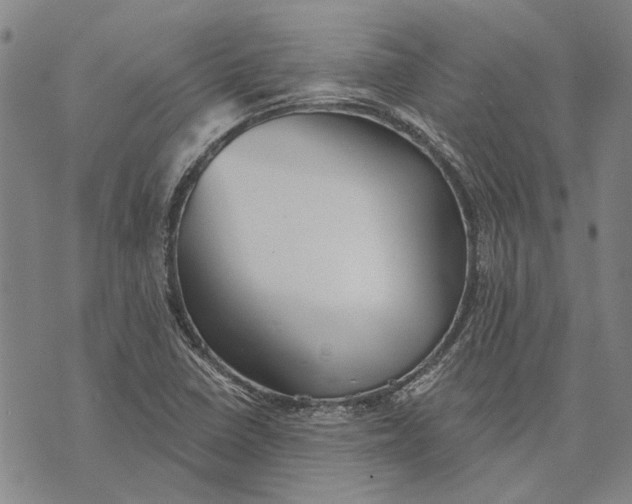 X0000073761410200608241400