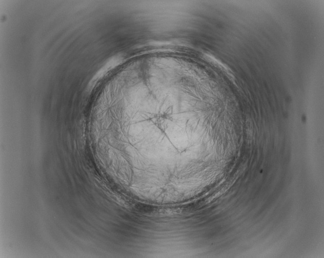 X0000073761411200608241400