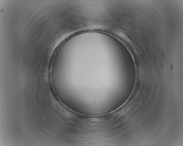 X0000073761412200608241400